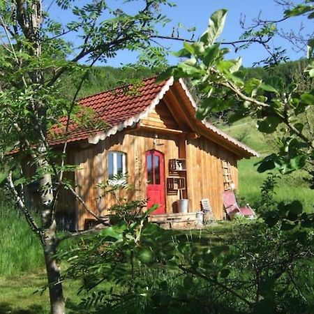 Sonniges-Naturnahes-Schwarzwald-Ferienhaeuschen Welschensteinach Dış mekan fotoğraf