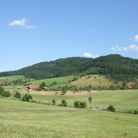 Sonniges-Naturnahes-Schwarzwald-Ferienhaeuschen Welschensteinach Dış mekan fotoğraf