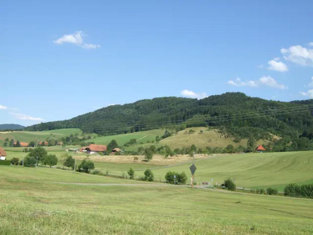 Sonniges-Naturnahes-Schwarzwald-Ferienhaeuschen Welschensteinach Dış mekan fotoğraf