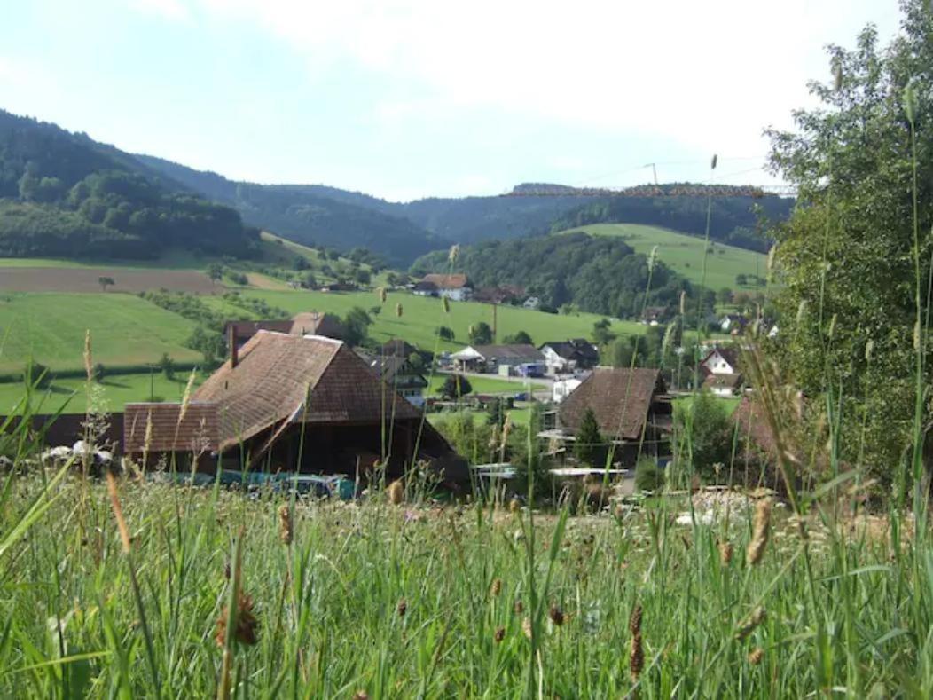 Sonniges-Naturnahes-Schwarzwald-Ferienhaeuschen Welschensteinach Dış mekan fotoğraf