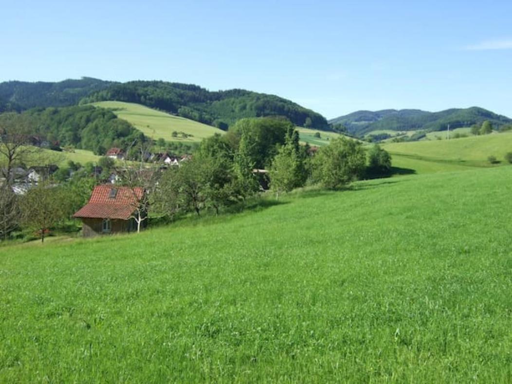 Sonniges-Naturnahes-Schwarzwald-Ferienhaeuschen Welschensteinach Dış mekan fotoğraf
