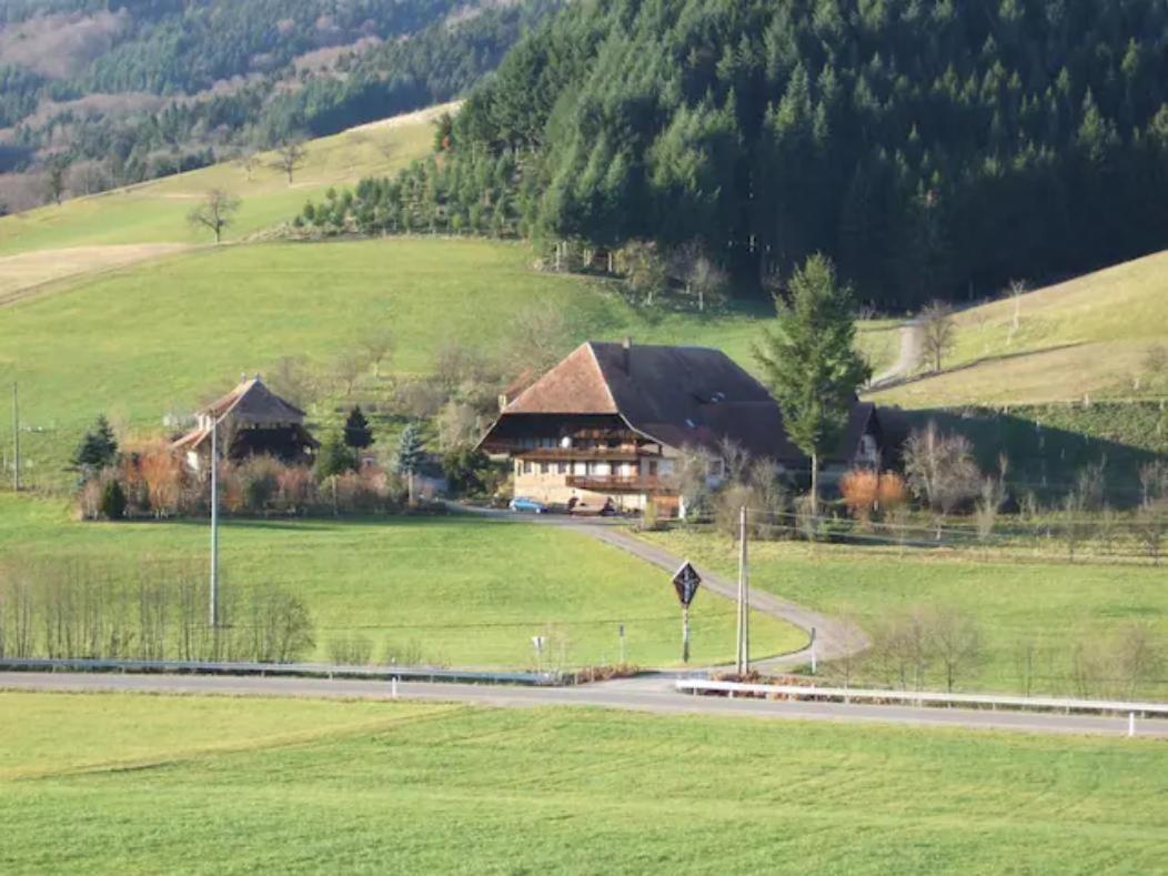Sonniges-Naturnahes-Schwarzwald-Ferienhaeuschen Welschensteinach Dış mekan fotoğraf